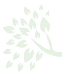 leaf-2