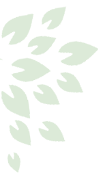 leaf-3
