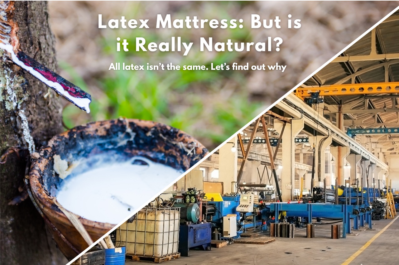 Natural Latex Vs Synthetic Latex which is better for sleeping