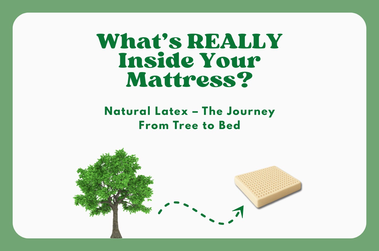 What Is Natural Latex? Everything You Need to Know Before Buying a Mattress